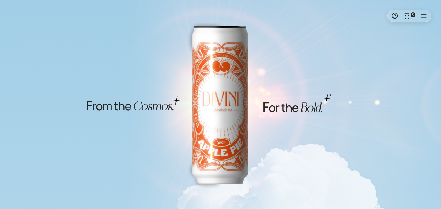 Shopify Website for Divini