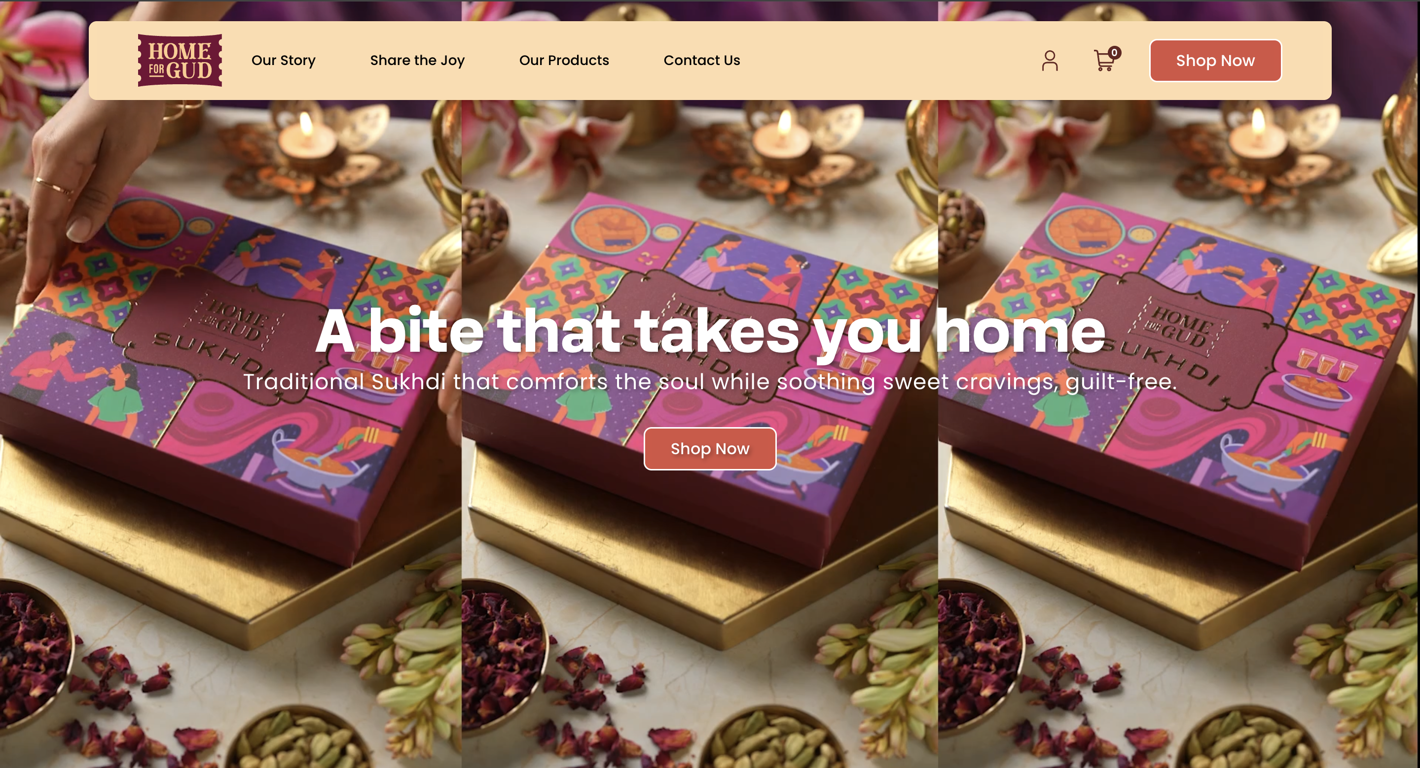 Portfolio Website for Home For Gud